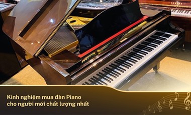 Kinh nghiệm mua đàn Piano cho người mới chất lượng nhất
