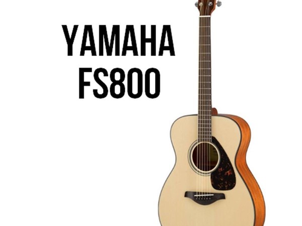 Guitar Yamaha FS800