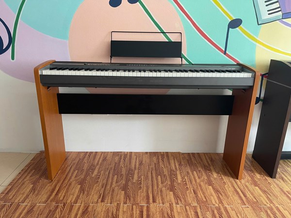 ĐÀN PIANO ĐIỆN CASIO PX 300