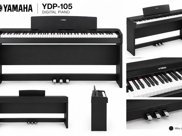 YAMAHA YDP105 NEW
