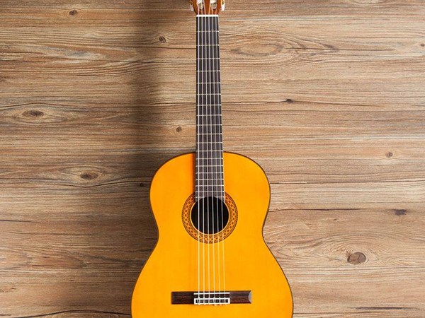 Guitar Yamaha C80