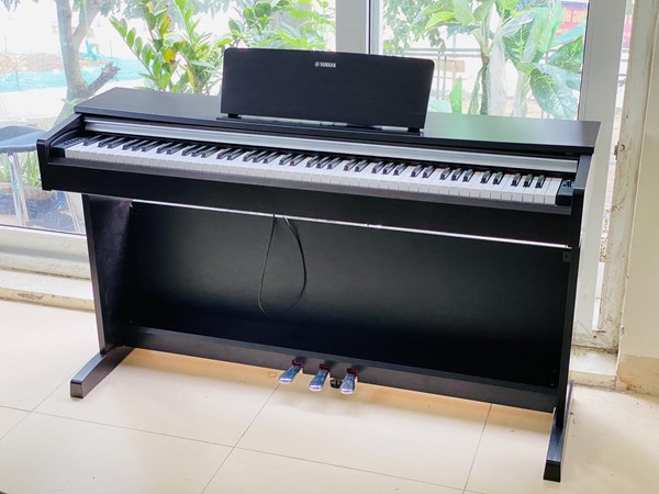 Đàn Piano Điện Yamaha YDP 142 R 