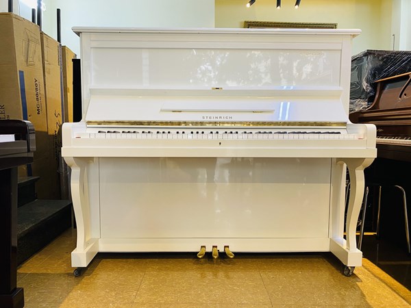 Đàn Piano Cơ Upright STEINRICK S10 30381